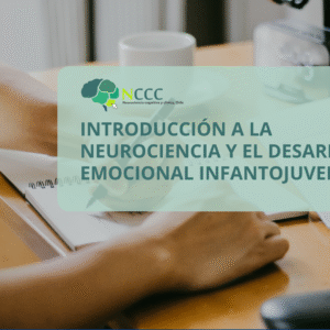 Introducción a la neurociencia y el desarrollo emocional infantojuvenil