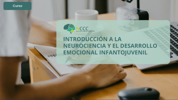 Introducción a la neurociencia y el desarrollo emocional infantojuvenil