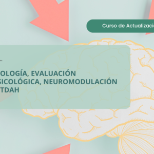 Neurobiología, Evaluación Neuropsicológica, Neuromodulación en TEA y TDAH