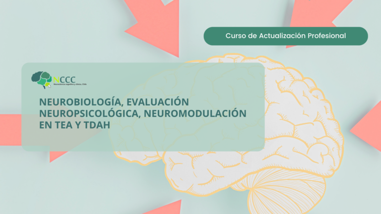 Neurobiología, Evaluación Neuropsicológica, Neuromodulación en TEA y TDAH