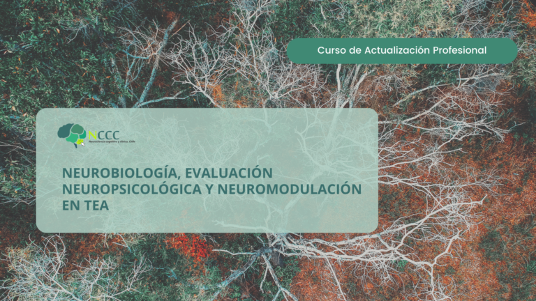 Neurobiología, Evaluación Neuropsicológica y Neuromodulación en TEA