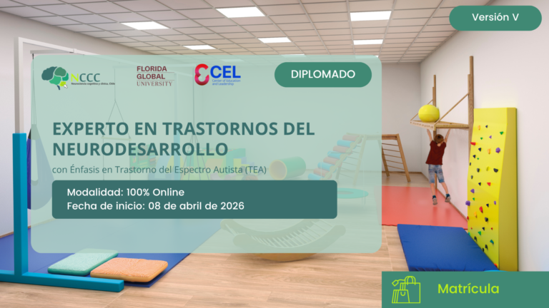 Diplomado Experto en Trastornos del Neurodesarrollo (Versión V)